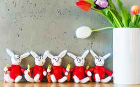 Schöne Deko - Foto: Helmuth Rier